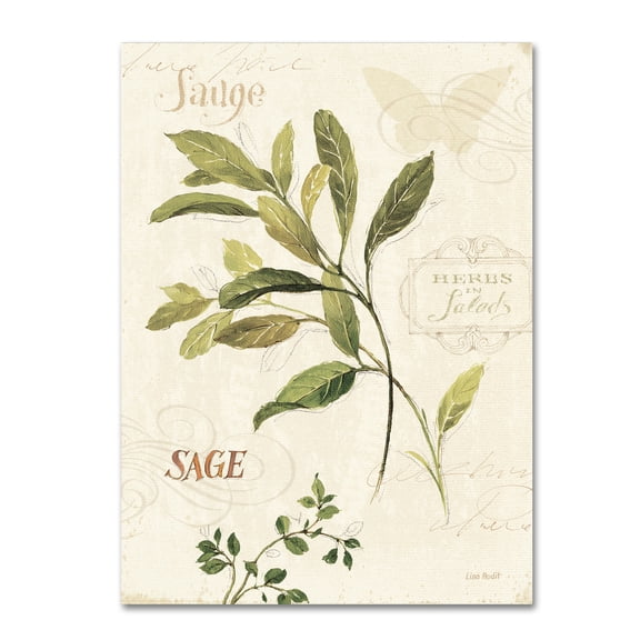 Trademark Fine Art "Aromantique IV" Canvas Art by Lisa Audit