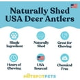 thumbnail image 2 of HotSpot Pets Premium Elk Horn Antlers Dog Chews, Odorless Rawhide Marrow, 7+ Inch Large, 2 Pack, 2 of 9