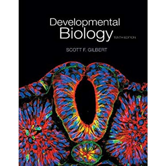 Pre-Owned Developmental Biology (Paperback) 9780878939787