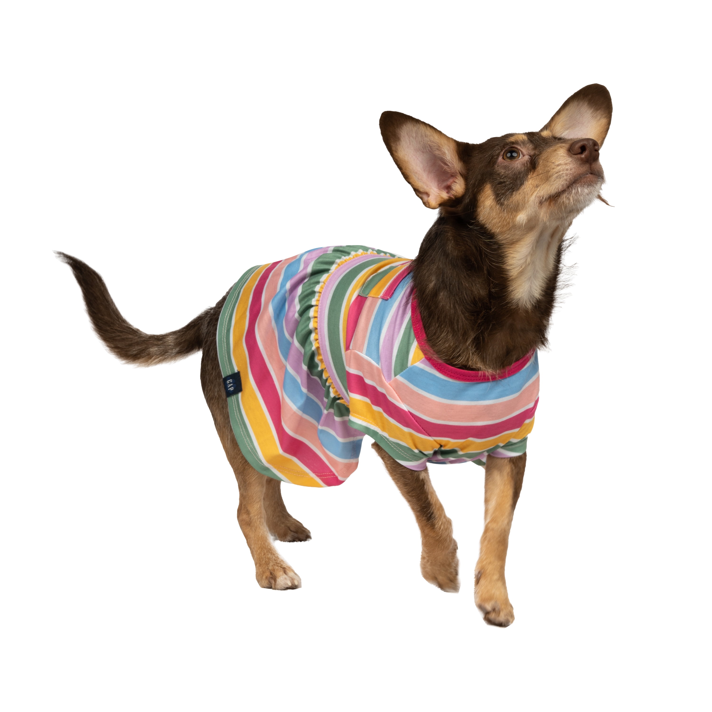 Gap Pet, Dog Clothes, Gap Striped T-Shirt, Dog and Cat Dress, Multi-Color, S