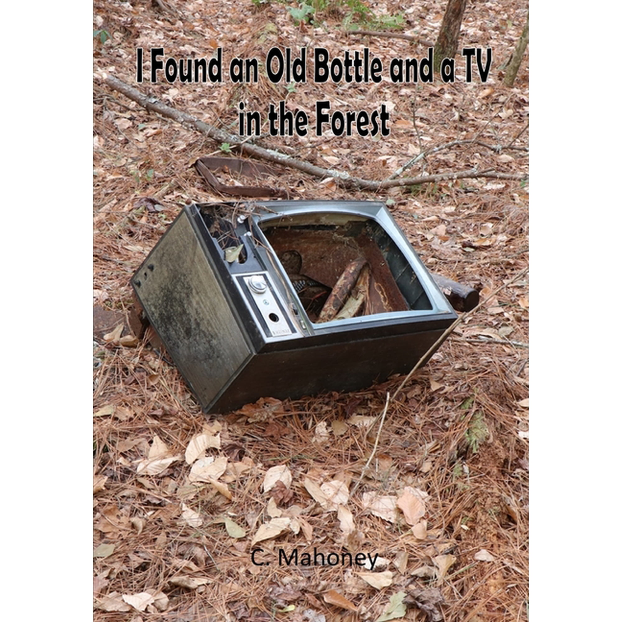I Found an Old Bottle and a TV in the Forest (Paperback)