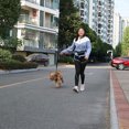 thumbnail image 5 of El tráfico de la correa de perro acolchó dos manijas de la impresión, correas reflexivas para el entrenamiento de la seguridad del control, 5 of 5