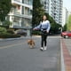 thumbnail image 5 of El tráfico de la correa de perro acolchó dos manijas de la impresión, correas reflexivas para el entrenamiento de la seguridad del control, 5 of 5