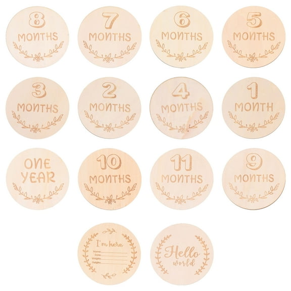 Dalidasy 14Pcs Wooden Monthly Cards Infant Month Ornaments Milestone Memorial Wood Slices