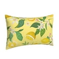 thumbnail image 2 of EasygdpLemon Polyester Fiber Double-Sided Pillowcase,Super Soft,Comfortable And Luxurious Pillowcase,Not Easy To Break Or Deform- 20"X30", 2 of 9