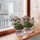 thumbnail image 5 of Plantas Artificiales De Plástico En Maceta Pequeña planta artificial rosa en maceta, mini planta esférica para decoración del hogar y accesorios de fotografía (1 unidad) JASKFLY, 5 of 8