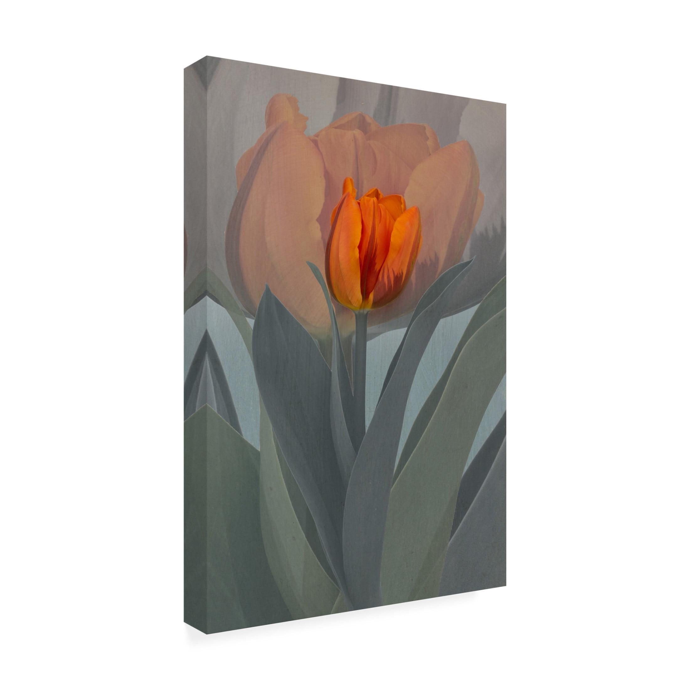 Trademark Fine Art Richard Urbanski  Candle Canvas Wall Art