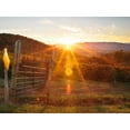 thumbnail image 2 of Mead, Adam 18x15 Black Ornate Wood Framed with Double Matting Museum Art Print Titled - Farm Study VII, 2 of 4