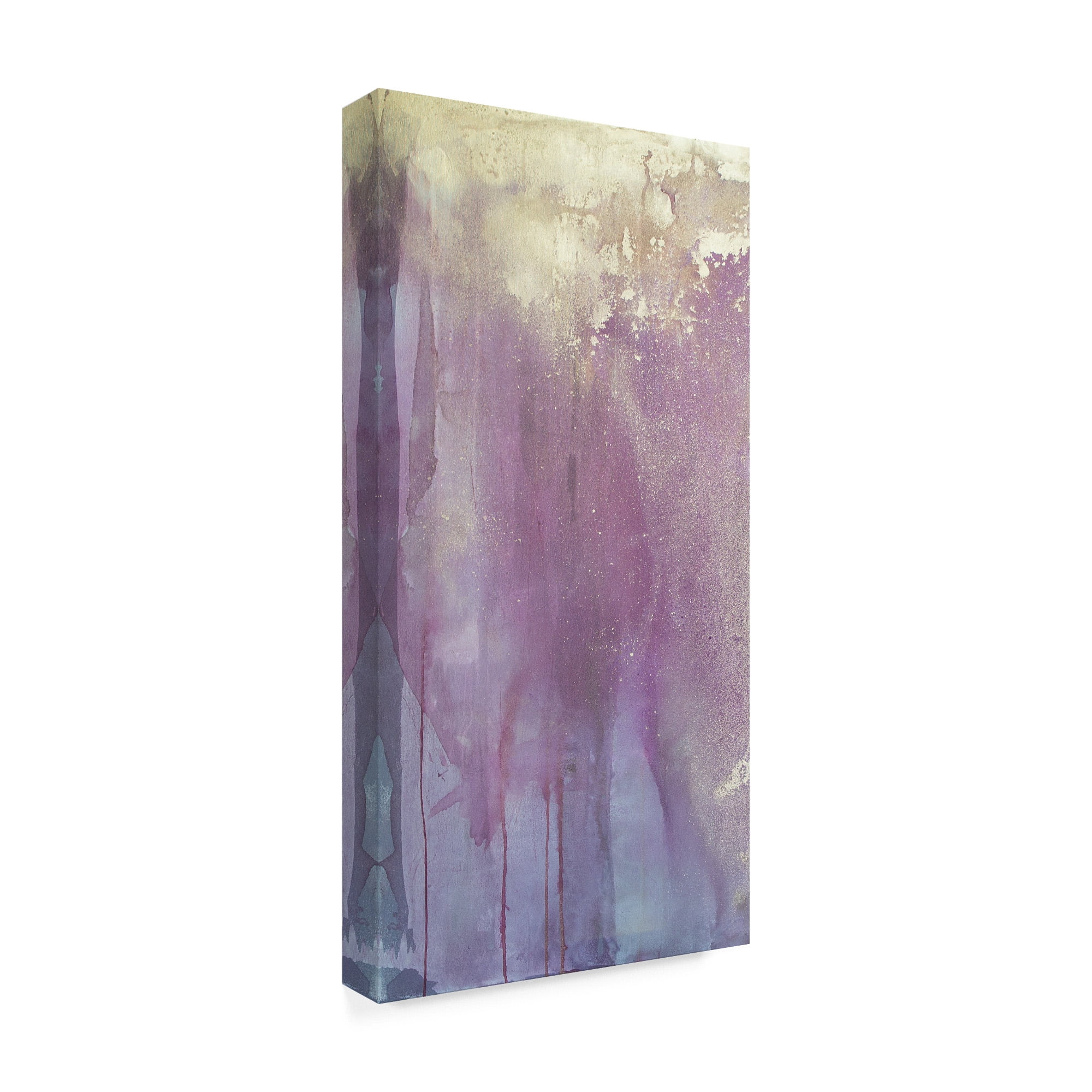 Trademark Fine Art 'Moroccan Stardust I' Canvas Art by Julia Contacessi