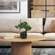 thumbnail image 4 of Árbol Bonsái Artificial Briful de Enebro 25 cm con Maceta de Cerámica, 4 of 6