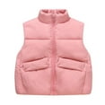 thumbnail image 2 of BRGZLK Kids Puffer Vest Fall Winter Trendy Solid Color Zipper Stand-Up Collar Quilted Gilet Lightweight Warm Waterproof Sleeveless Jacket for Boys Girls Pink 5-6 Years, 2 of 4