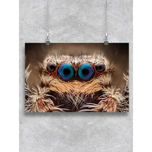 Jumping Spider Portrait Poster -Image by Shutterstock