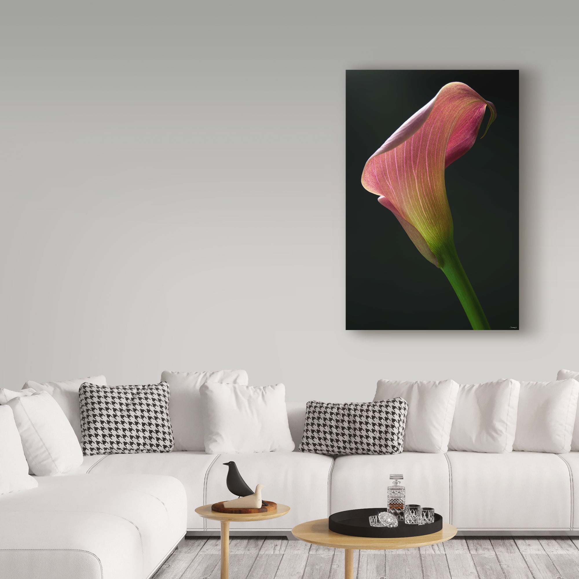 Light Pink Lily' Canvas Art by Gordon Semmens
