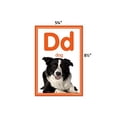 thumbnail image 3 of TEACHER CREATED RESOURCES Cartes d'Alphabet Colorées BB ST, 3 of 5