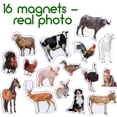 thumbnail image 3 of Magdum 16 imanes para nevera con forma de animales de granja para niños pequeños, 3 of 9