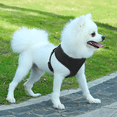 thumbnail image 3 of Magshion No Pull Mesh Dog Harness, Pet Vest Adjustable Breathable Harnesses for Dogs Walking, Black S, 3 of 8