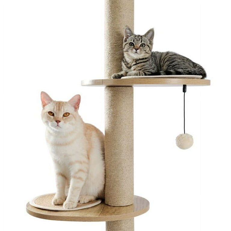 Clearance Cat Tree Floor to Ceiling Cat Tower Cat Activity Center with Sisal Scratching Post and Cat Condo Ramp Ladder Multi Level Platforms Adjustable Height Walmart