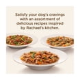 thumbnail image 6 of Rachael Ray Nutrish Hearty Recipes Variety Pack Wet Dog Food, 8 oz. Tubs, 6 Count, 6 of 11
