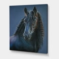 thumbnail image 3 of Designart ' Frisian Black Horse Portrait ' Farmhouse Canvas Wall Art Print, 3 of 4