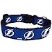 thumbnail image 3 of All Star Dogs NHL Tampa Bay Lightning Dog Collar, Medium, Royal, 3 of 4