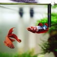 thumbnail image 3 of Termómetro adhesivo para acuario, medición precisa de la temperatura del tanque, ideal para peces, camarones y tortugas, instalación con despegar y pegar, 3 of 8