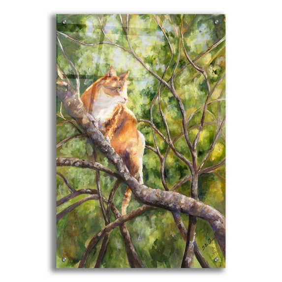 Epic Art 'Tiger' by Sarah Davis, Acrylic Glass Wall Art, 24"x36"