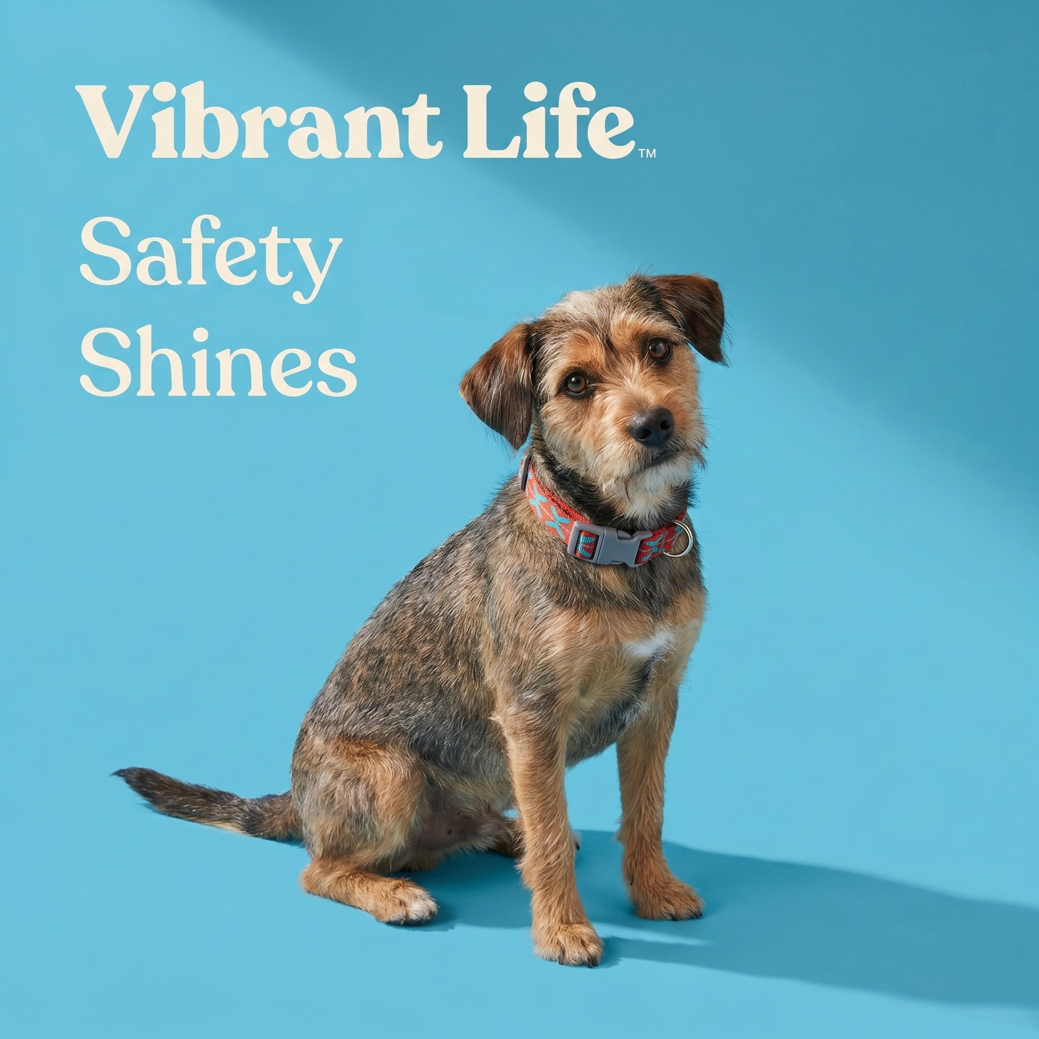 Vibrant Life Reflective Adjustable Dog Collar, Orange, Medium