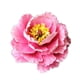 thumbnail image 5 of Advancent Molde de silicona para Fondant de pastel de pétalos de flores, molde para manualidades con azúcar de Chocolate rosa para el hogar, utensilio de Cocina y Comedor Advancent  HA078904-00, 5 of 6
