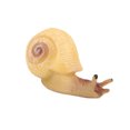 thumbnail image 4 of Ciclo de crecimiento animal Juguete Plástico Simulado Ciclo de vida para niños Conjunto Kit de herramientas educativas para niños, Animal 12 Irene Inevent FN000175-12, 4 of 7