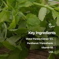 thumbnail image 3 of Almohadilla de tóner SKINFOOD, agua pantoténica y perejil transparente, 260 ml, 3 of 9