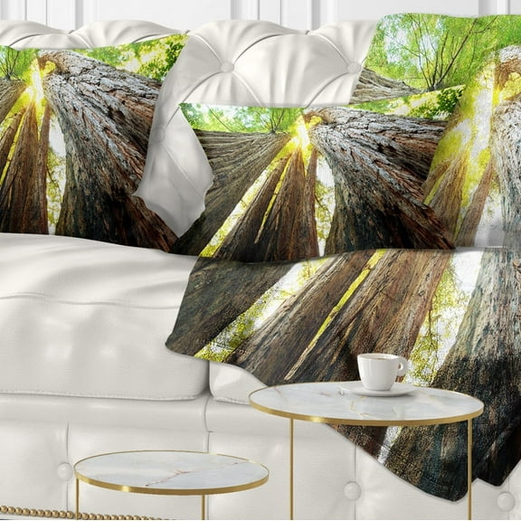 Designart Sequoia Tree - Photography Throw Pillow - 12x20