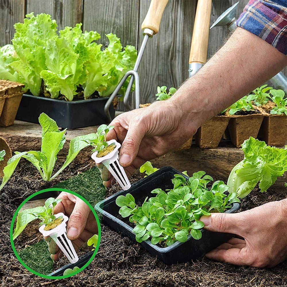 50Pcs Grow Baskets Clear Plant Basket Pod-Shaped Plastic Slotted Net Plant Cups Durable Reusable Plant Growing Container for AeroGarden Hydroponics Planting System