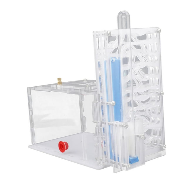 Vivienda para hormigas Nido Humedad Casa para hormigas Caja nido Transparente Juguetes educativos Granja de hormigas DIY Blanco