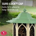 thumbnail image 3 of Wildlife Feeder Perky-Pet GAZ01 Pistacho de 1,6 kg de capacidad, 3 of 9