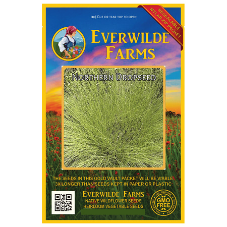 Everwilde Farms - 400 Northern Dropseed Native Grass Seeds - Gold Vault Jumbo Bulk Seed (Best Grass Seed Northern California)
