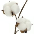 thumbnail image 2 of 16 Pack: Cotton Stem by Ashland, 2 of 3