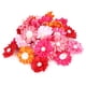 thumbnail image 5 of Lazos para el pelo de mascotas, accesorios para el pelo de mascotas, lazos para el pelo de gato, para mascotas pequeñas Fugacal  CW07318, 5 of 5