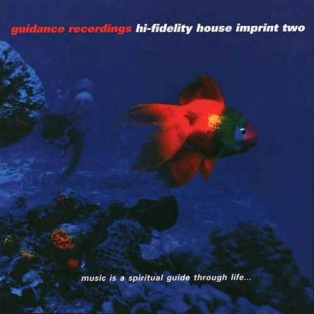 Guidance Recordings: Hi-Fidelity House Imprint Two