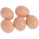 thumbnail image 1 of Chicken Coop Paquete de 5 huevos falsos de plástico para gallinas, 1 of 5