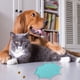 thumbnail image 5 of Tapete para lamer para perros y gatos, comederos lentos para perros que reducen el aburrimiento, tapete para comida para perros, 5 of 5