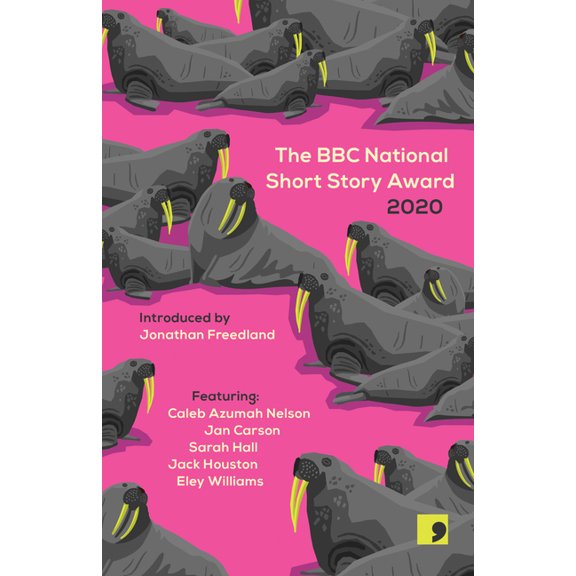 The BBC National Short Story Award: The BBC National Short Story Award 2020 (Paperback)
