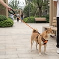 thumbnail image 7 of No Pull Dog Harness with Durable Chest Strap for Small Medium Dogs, Adjustable Reflective Pet Vest Traction Rope for Walking, Running, Training, Anti-Tugging Escape Proof (1 Harness + 1 Leash), 7 of 7