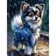 thumbnail image 1 of 5D DIY Con Taladro Cachorro en Ropa Del 30x40cm, 1 of 9
