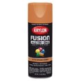 Fusion AllInOne Adhesive Spray Paint for Indoor/Outdoor Use, 12 oz