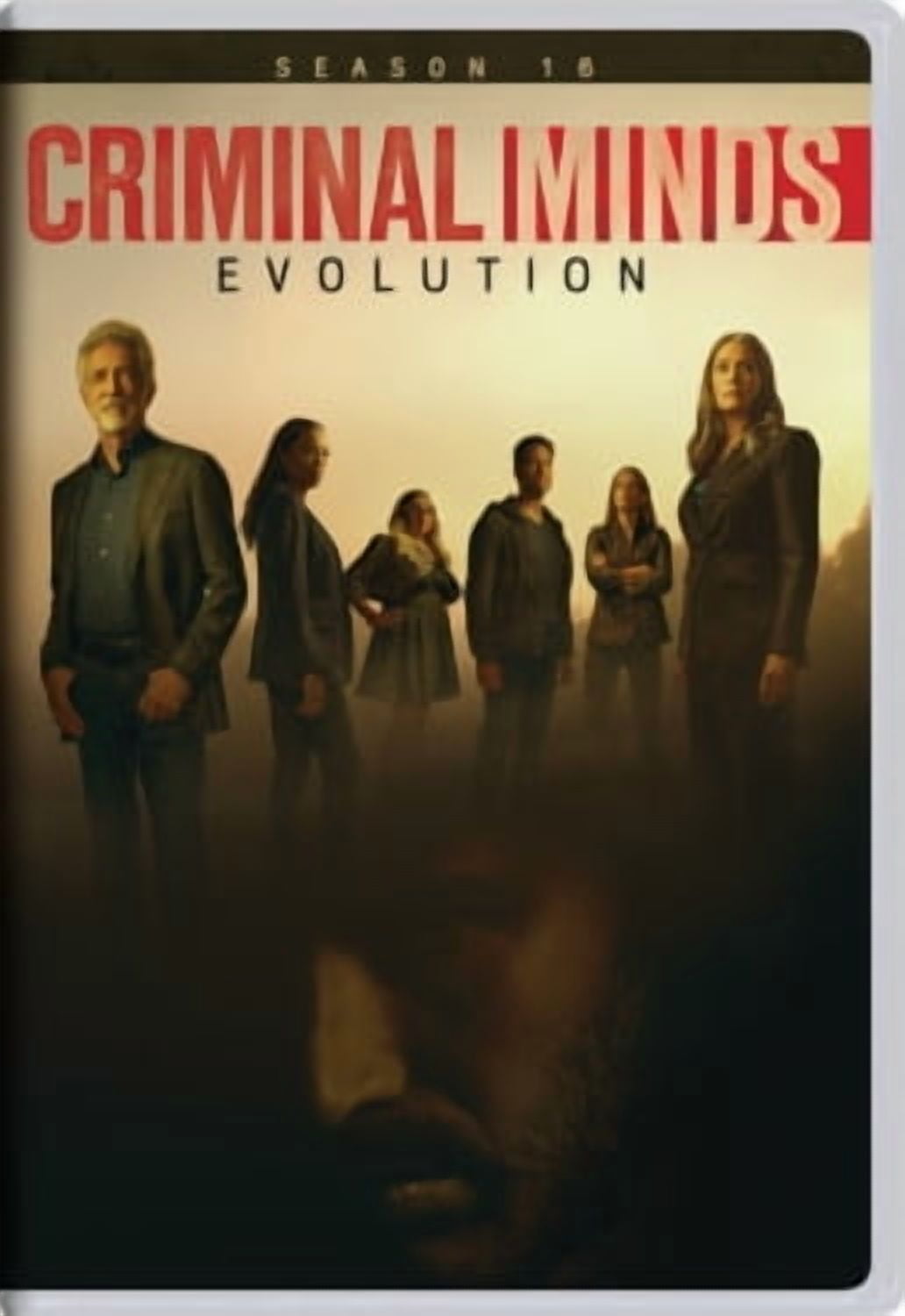Criminal Minds Season 16 (DVD) - Walmart.com