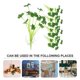 thumbnail image 2 of 5pcs Aquarium Artificial Plant Fake Water Grass Decoration Aquarium Plant Fish Tank Accessory, 2 of 3
