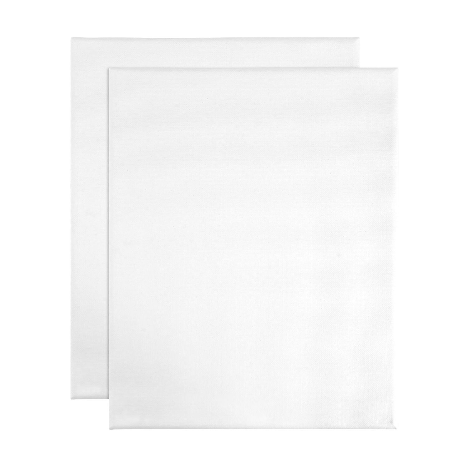 HELLO HOBBY STRETCHED CANVASES 2 PACK 8 in. x 10 in. EACH