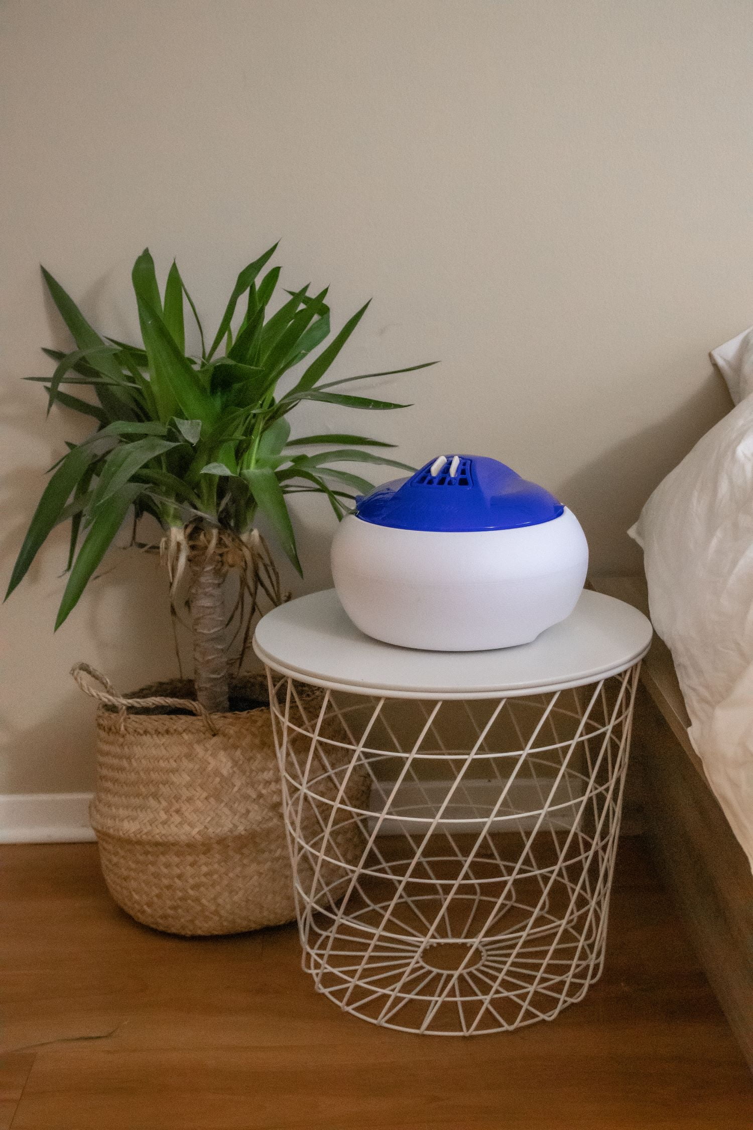 Crane USA Pure Steam Vaporizer, 1.0 Gallon, Filter Free, Whisper Quite, Dishwasher Safe Tank, for up to 250 square feet.