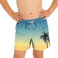 thumbnail image 7 of Makaor Beach Shorts for Kids Boys Girls with Pockets Drawstring Mid Waist Straight Leg Short Elastic Waist Palm Frond Baggy Hawaiian Beach Outfits Multicolor 13-14T, 7 of 7