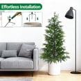 thumbnail image 4 of BeesClover Pre-Lit Artificial Norfolk Pine Trees, 2-Pack Twinkle Christmas Cypress Set for Home, Office, or Entryway, 4 of 9
